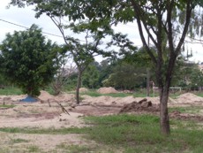 parque da ilha 7